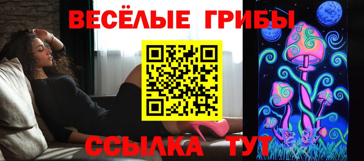 Галлюциногенные грибы Psilocybine cubensis Тихвин