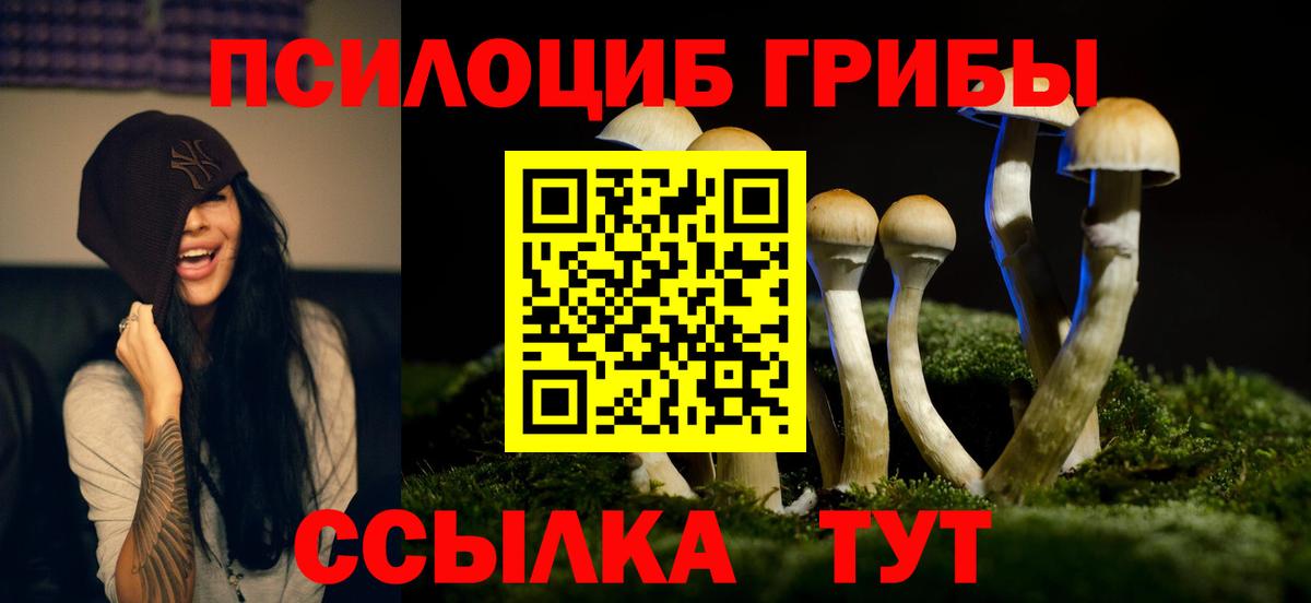 Тихвин  Псилоцибиновые грибы Cubensis  Вход с VPN 